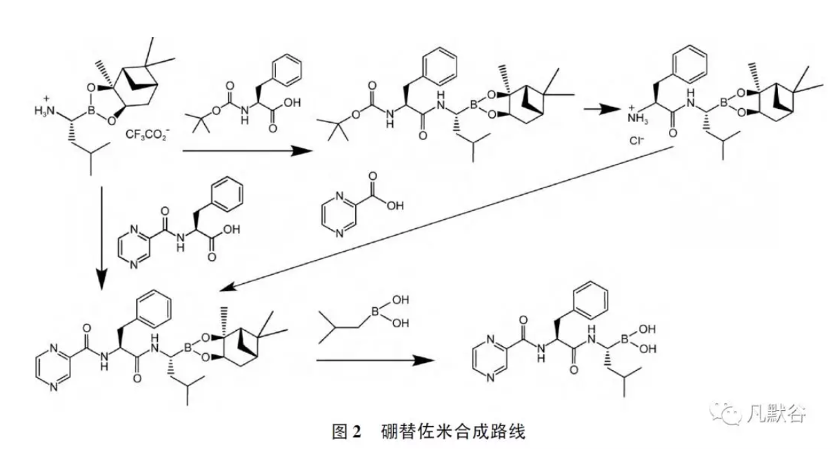 直接与n-吡嗪羰基-l-苯丙氨酸缩合形成硼替佐米蒎烷二醇酯,再脱保护