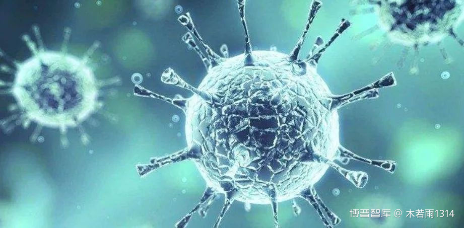 免疫细胞与新冠病毒的对抗