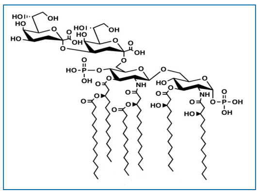 图6.3-1大肠埃希菌类脂A结构图（图片来源于PDA TR82）