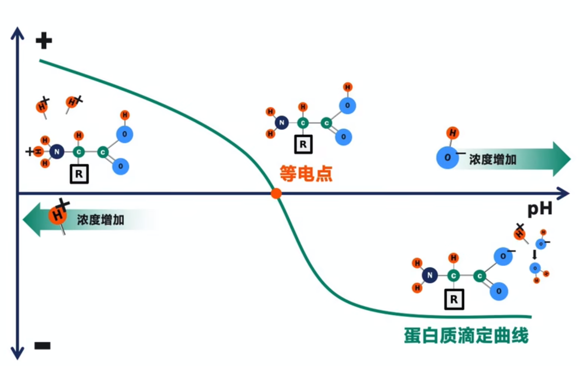 离子交换层析技术和层析填料选择