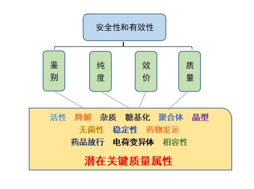 层析工艺过程中的DoE