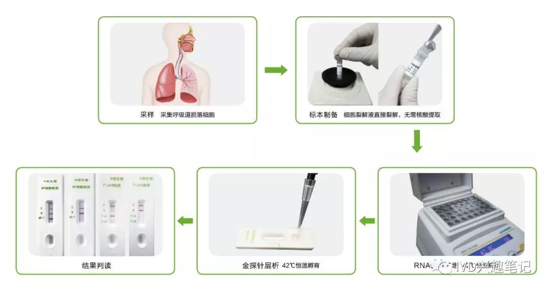 等温扩增技术到底行不行？