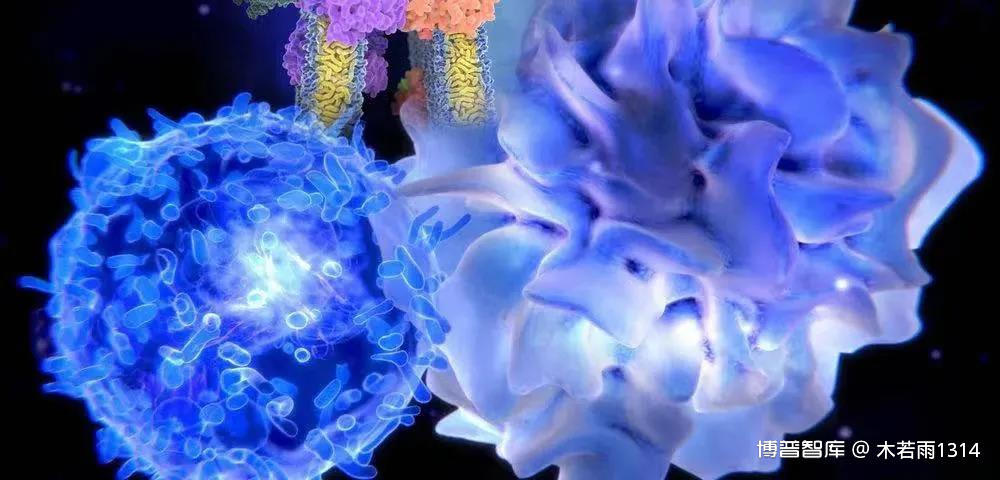 免疫细胞回输提升抗癌有效率