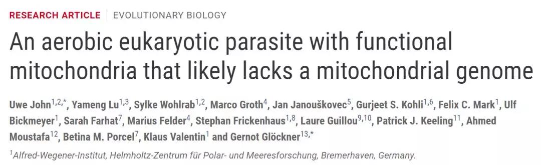 首次发现没有基因组DNA的线粒体，其进化走在了所有生命的前面