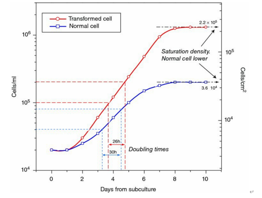 细胞生长曲线及倍增时间（图片来源于《Culture of Animal Cells A Manual of Basic Technique and Specialized Applications》，仅供学习交流用）
