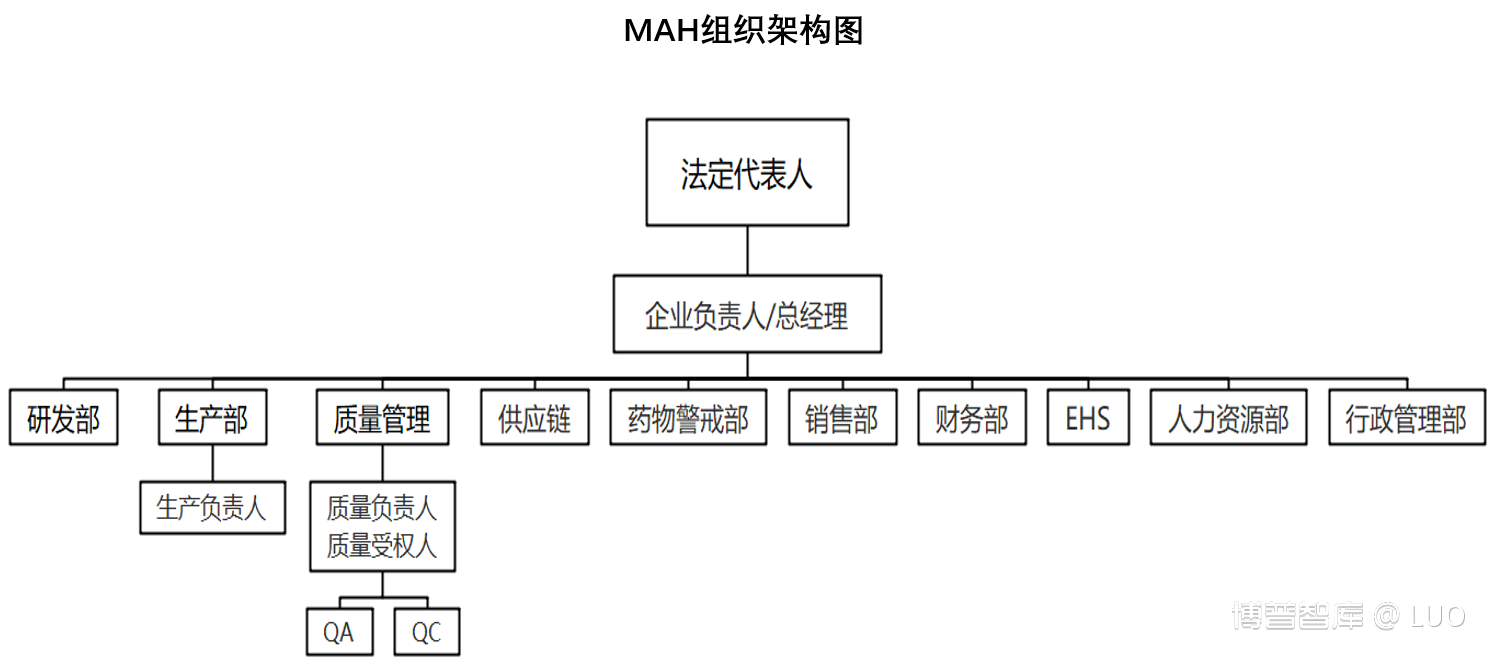 MAH 常见组织架构及审核要点