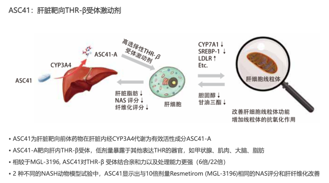 NASH 新药 3 期临床大获成功！海外 Biotech 股价涨超 200%，国内这家企业进展最快