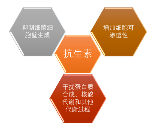 大环内酯（Macrolides）类抗生素药物综述