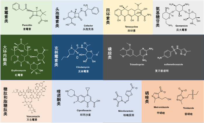 大环内酯（Macrolides）类抗生素药物综述