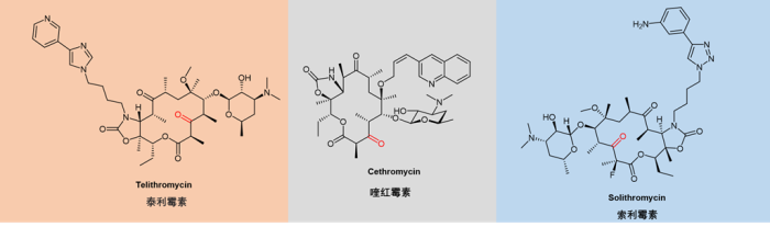 大环内酯（Macrolides）类抗生素药物综述