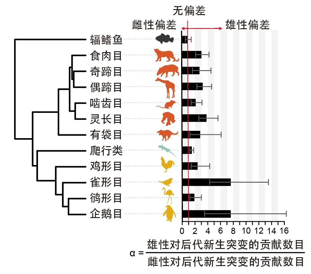 Nature：浙江大学张国捷团队解密脊椎动物世代间DNA突变界限、父母谁的贡献更多