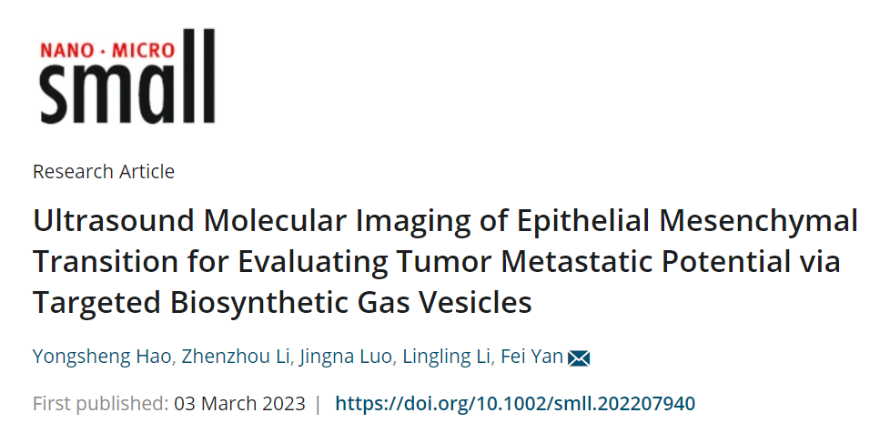 深圳先进院严飞团队通过超声分子成像肿瘤细胞上皮-间质转化，评估肿瘤转移潜力
