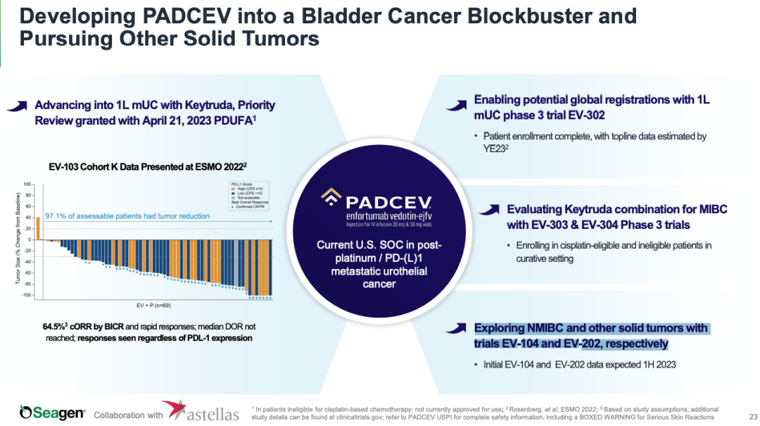 Seagen 管线梳理：LIV-1、ITGB6、PD-L1 …新靶点 ADC 进行时，下一代技术扬帆起航