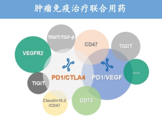 康方 AK112 + CD73 单抗联合疗法启动临床,针对结直肠癌