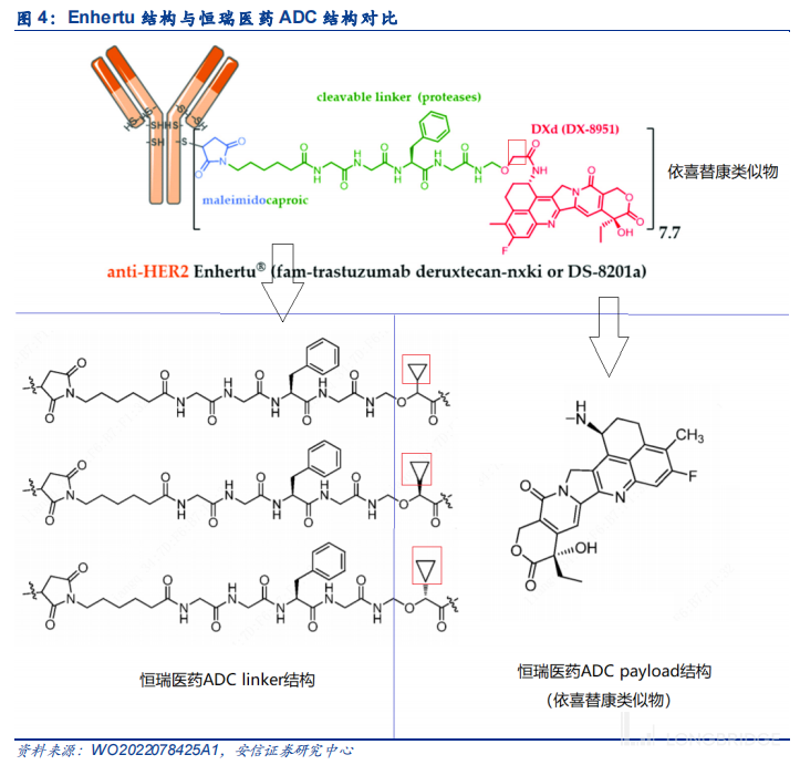 AACR 进行中！恒瑞 2 款 ADC 新药表现如何？