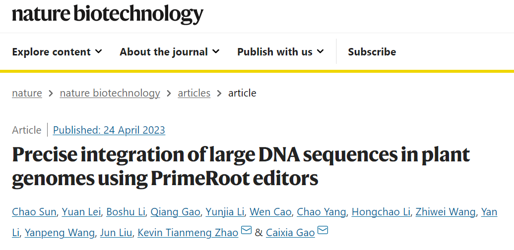 Nature子刊:高彩霞团队开发大片段DNA精准定点插入新工具PrimeRoot