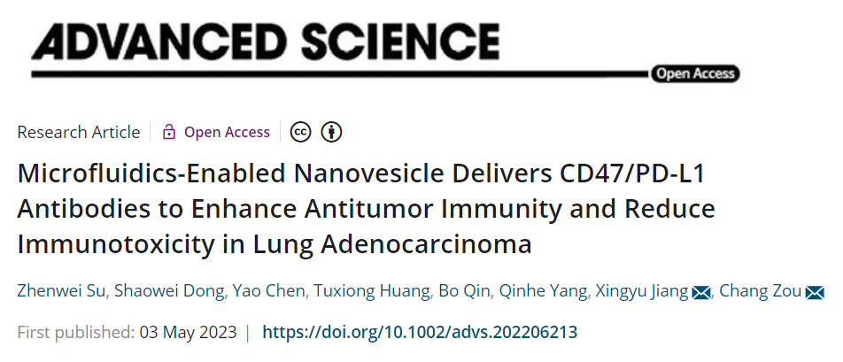 Advanced Science：纳米囊泡靶向递送CD47/PD-L1抗体治疗肺癌