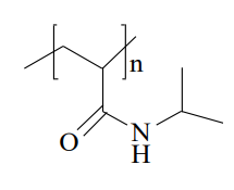 温敏材料PNIPAM在组织工程的应用