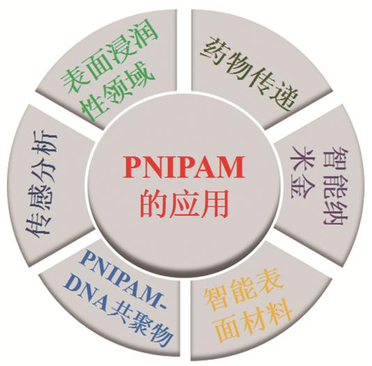 温敏材料PNIPAM在组织工程的应用