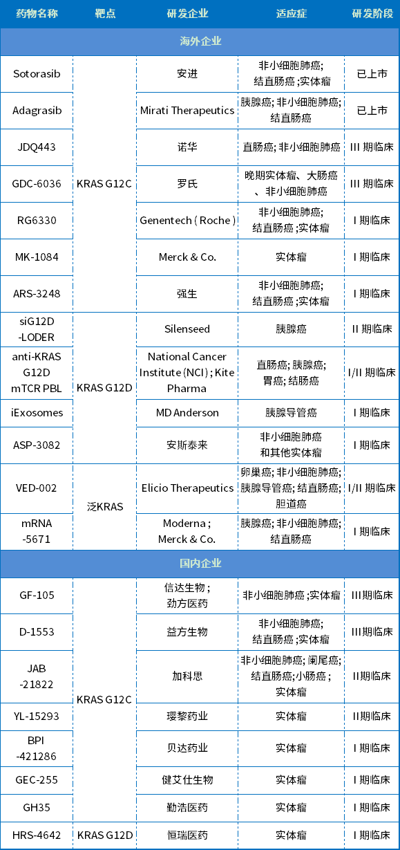 KRAS的研发渐入佳境，谁是下一个王者？