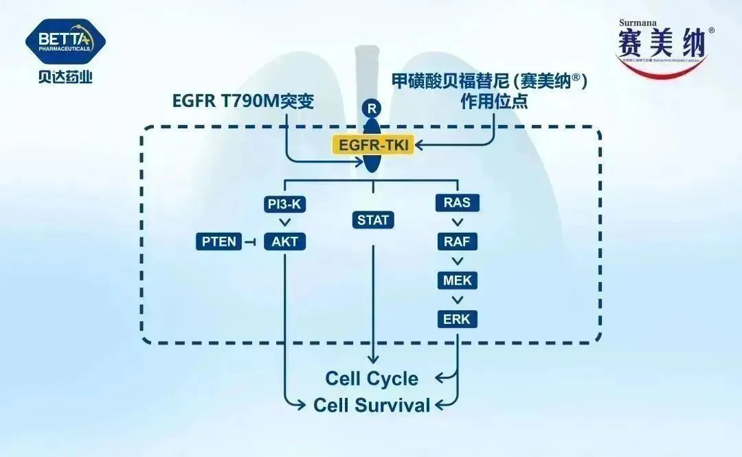 贝达药业:三代EGFR-TKI甲磺酸贝福替尼胶嚢(赛美纳®)获批上市