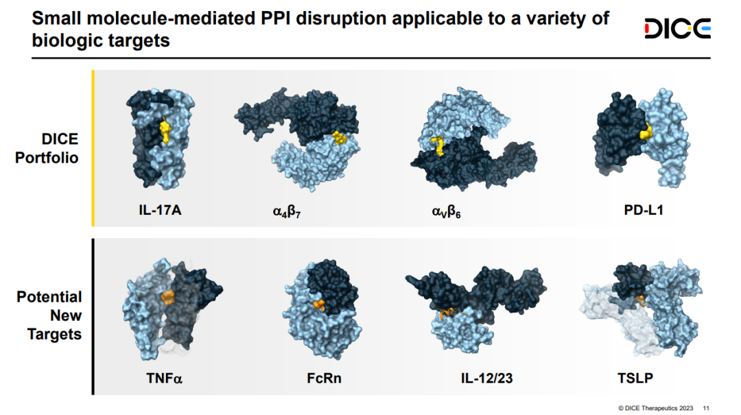 24 亿美元！礼来收购 DICE Therapeutics，加注免疫领域