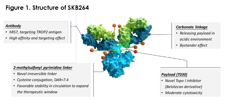 科伦TROP-2 ADC 新适应证拟纳入突破性疗法- 博普智库