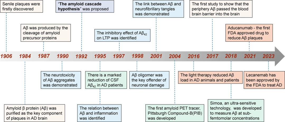 STTT：宣武医院宋伟宏团队盘点抗Aβ疗法的过去、现在和未来