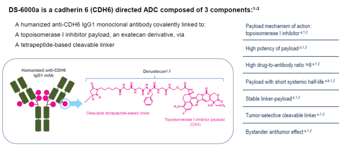 第一三共CDH6 ADC药物DS-6000a首次临床申请获CDE受理！