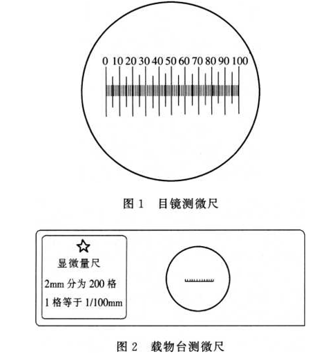 博普智库