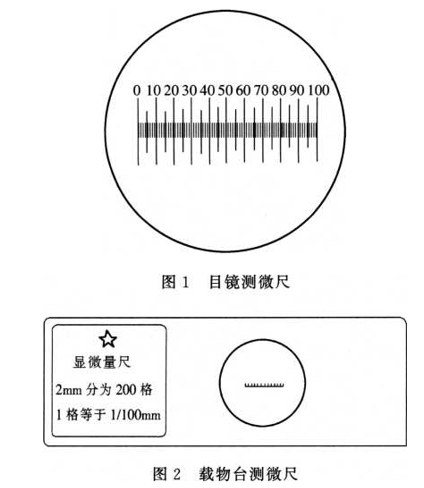 博普智库